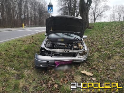 Pijany, bez prawa jazdy zakończył podróż w rowie. Grożą mu 3 lata