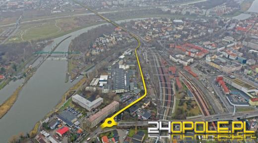 Zaznaczone drzewa w rejonie Struga i Pasieki. Co oznaczają numery na roślinach?