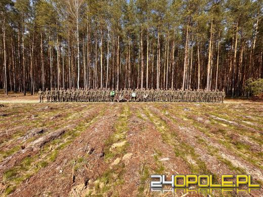 Żołnierze i leśnicy wspólnie sadzą lasy pod Opolem