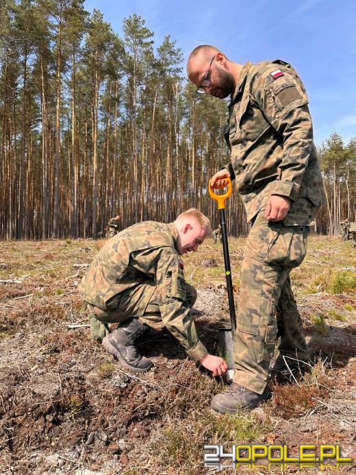 Żołnierze i leśnicy wspólnie sadzą lasy pod Opolem