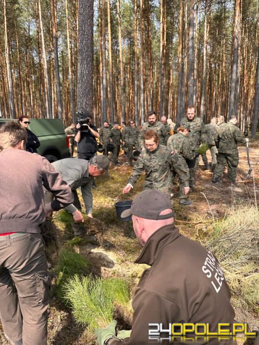 Żołnierze i leśnicy wspólnie sadzą lasy pod Opolem