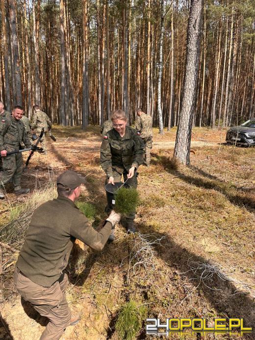 Żołnierze i leśnicy wspólnie sadzą lasy pod Opolem