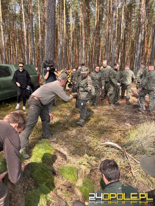 Żołnierze i leśnicy wspólnie sadzą lasy pod Opolem