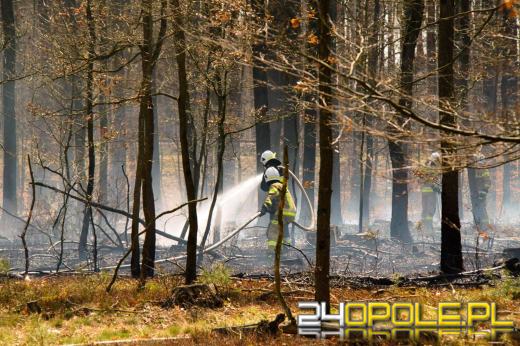 Seria pożarów w regionie. Najpoważniejsze zdarzenia w Kędzierzynie-Koźlu