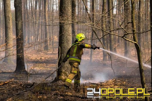 Seria pożarów w regionie. Najpoważniejsze zdarzenia w Kędzierzynie-Koźlu