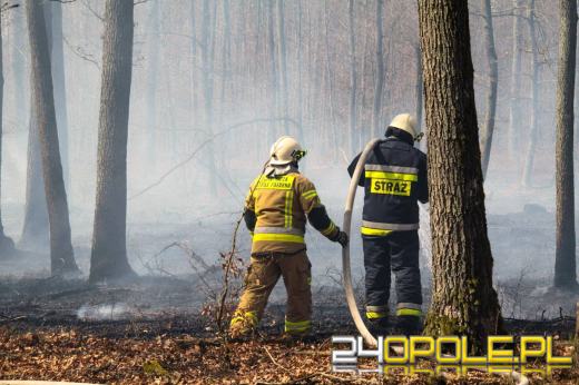 Seria pożarów w regionie. Najpoważniejsze zdarzenia w Kędzierzynie-Koźlu