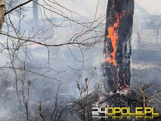 Seria pożarów w regionie. Najpoważniejsze zdarzenia w Kędzierzynie-Koźlu
