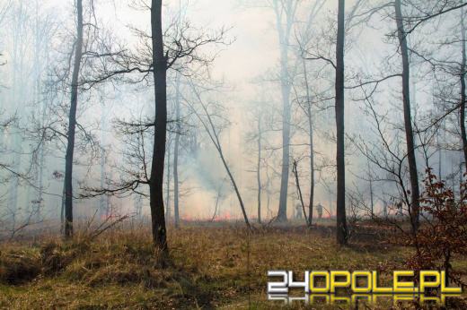 Seria pożarów w regionie. Najpoważniejsze zdarzenia w Kędzierzynie-Koźlu