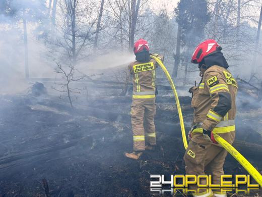 Seria pożarów w regionie. Najpoważniejsze zdarzenia w Kędzierzynie-Koźlu