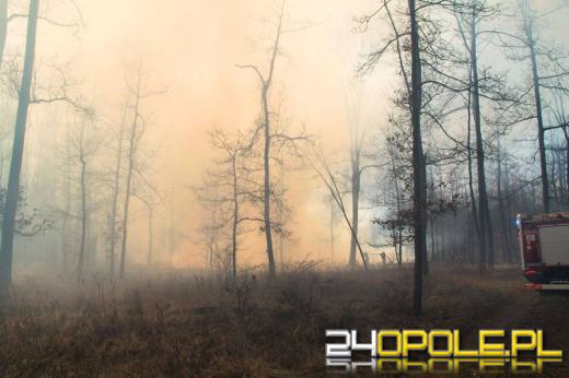Seria pożarów w regionie. Najpoważniejsze zdarzenia w Kędzierzynie-Koźlu