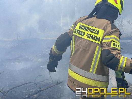 Seria pożarów w regionie. Najpoważniejsze zdarzenia w Kędzierzynie-Koźlu