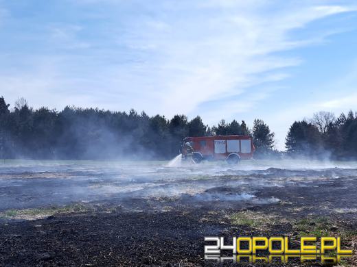 Seria pożarów w regionie. Najpoważniejsze zdarzenia w Kędzierzynie-Koźlu