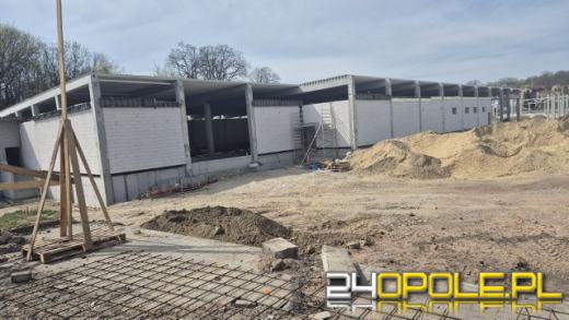 Nysa na zakupowym szlaku. Nowa galeria handlowa za 100 milionów złotych w budowie!