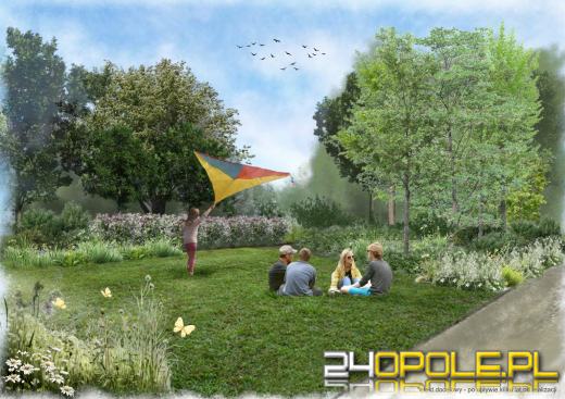 Nie park, a las kieszonkowy w Opolu? Miałby powstać na Malince