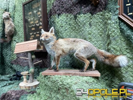 Wykłady motywacyjne i ponad 30 wystawców. Festiwal Kariery za nami