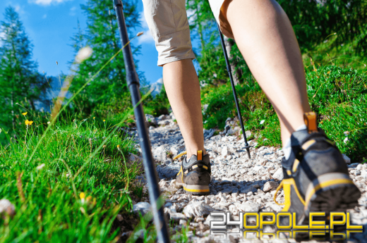 Jak wybrać buty trekkingowe? Praktyczny przewodnik dla początkujących i nie tylko