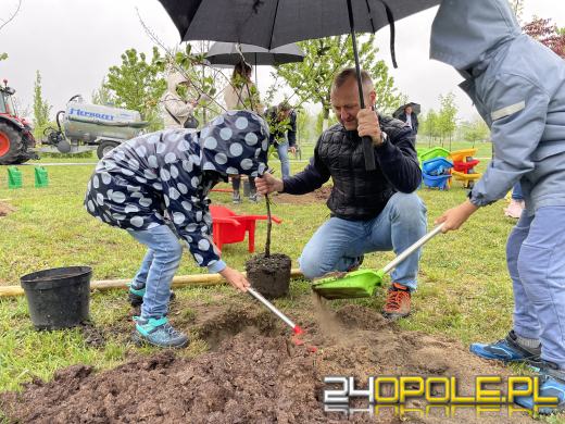 30 drzew na 30-lecie. Wyjątkowe wydarzenie w Parku 800-lecia w Opolu
