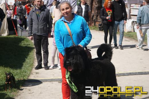 Wystawa  psów w Mosznej. Bajkowa sceneria przyciąga miłośników czworonogów