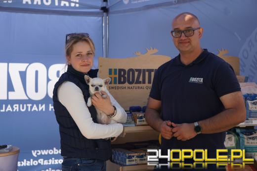 Wystawa  psów w Mosznej. Bajkowa sceneria przyciąga miłośników czworonogów