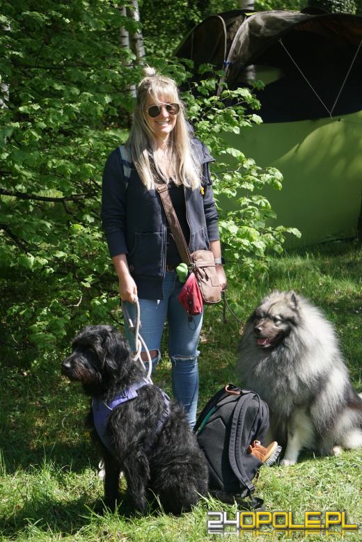 Wystawa  psów w Mosznej. Bajkowa sceneria przyciąga miłośników czworonogów