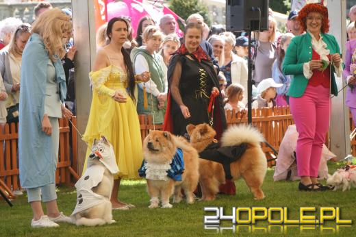 Wystawa  psów w Mosznej. Bajkowa sceneria przyciąga miłośników czworonogów