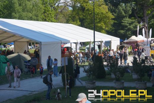 Wystawa  psów w Mosznej. Bajkowa sceneria przyciąga miłośników czworonogów