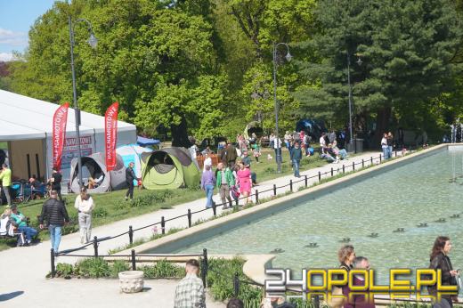 Wystawa  psów w Mosznej. Bajkowa sceneria przyciąga miłośników czworonogów