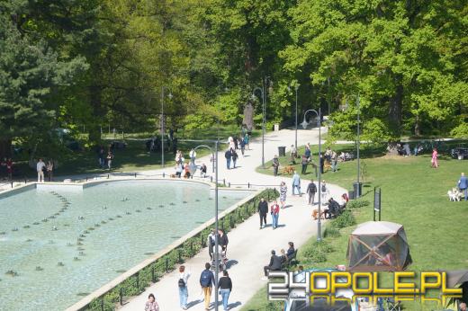 Wystawa  psów w Mosznej. Bajkowa sceneria przyciąga miłośników czworonogów