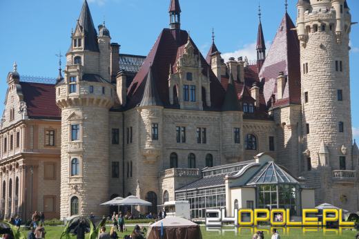 Wystawa  psów w Mosznej. Bajkowa sceneria przyciąga miłośników czworonogów