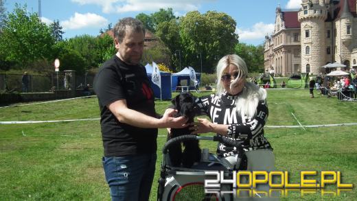 Wystawa  psów w Mosznej. Bajkowa sceneria przyciąga miłośników czworonogów