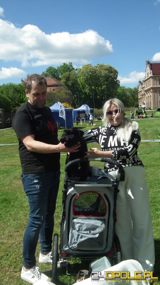 Wystawa  psów w Mosznej. Bajkowa sceneria przyciąga miłośników czworonogów