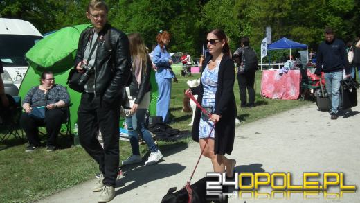 Wystawa  psów w Mosznej. Bajkowa sceneria przyciąga miłośników czworonogów