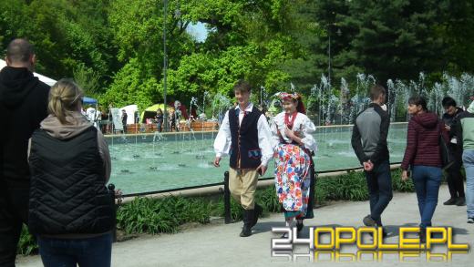 Wystawa  psów w Mosznej. Bajkowa sceneria przyciąga miłośników czworonogów