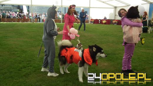 Wystawa  psów w Mosznej. Bajkowa sceneria przyciąga miłośników czworonogów