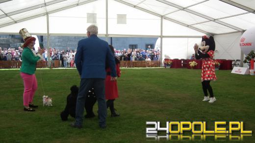 Wystawa  psów w Mosznej. Bajkowa sceneria przyciąga miłośników czworonogów