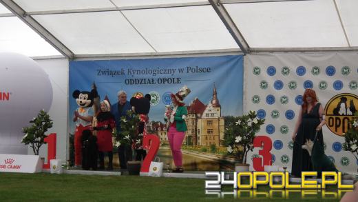 Wystawa  psów w Mosznej. Bajkowa sceneria przyciąga miłośników czworonogów