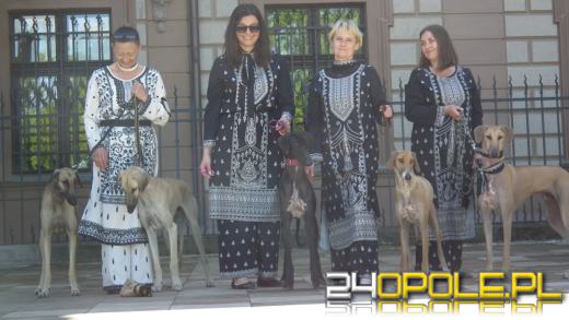 Wystawa  psów w Mosznej. Bajkowa sceneria przyciąga miłośników czworonogów