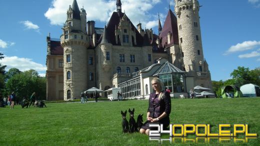 Wystawa  psów w Mosznej. Bajkowa sceneria przyciąga miłośników czworonogów