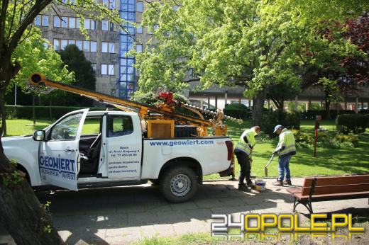 Tajemnice Ostrówka odkrywane na nowo. Archeolodzy wracają do źródeł Opola