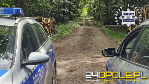 Nowe informacje na temat poszukiwań i odnalezienia 11-latki (WIDEO)