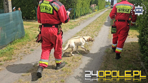 Nowe informacje na temat poszukiwań i odnalezienia 11-latki (WIDEO)