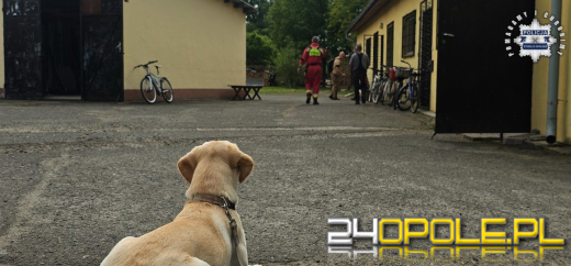 Nowe informacje na temat poszukiwań i odnalezienia 11-latki (WIDEO)