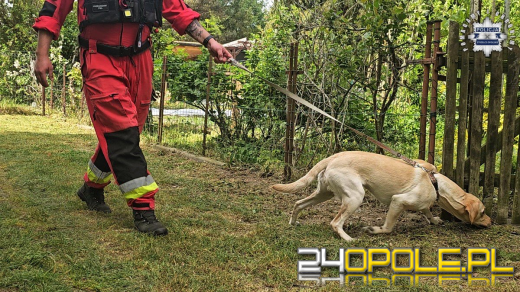 Nowe informacje na temat poszukiwań i odnalezienia 11-latki (WIDEO)