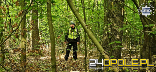 Nowe informacje na temat poszukiwań i odnalezienia 11-latki (WIDEO)