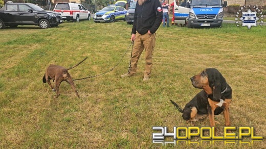 Nowe informacje na temat poszukiwań i odnalezienia 11-latki (WIDEO)