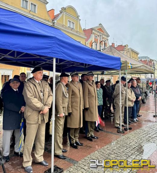 81. rocznica bitwy o Monte Cassino.  Polacy zdobyli niezdobyte