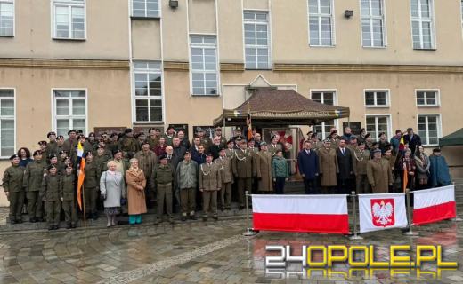 81. rocznica bitwy o Monte Cassino.  Polacy zdobyli niezdobyte