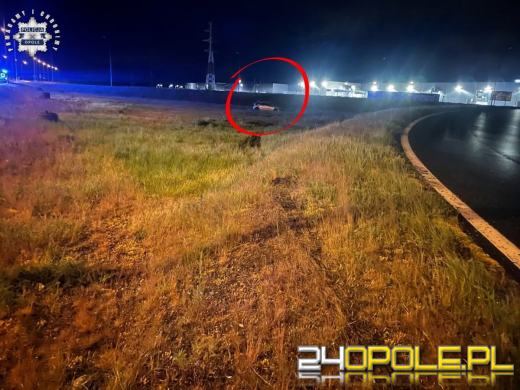 Jazda po pijaku zakończona w rowie. 19-latka przewoziła dwie koleżanki