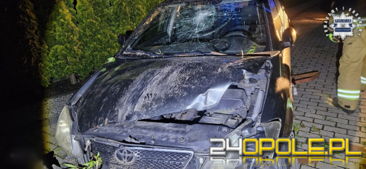 Pijany i bez zgody na pobyt. Kolumbijczyk taranuje płot w Zimnej Wódce