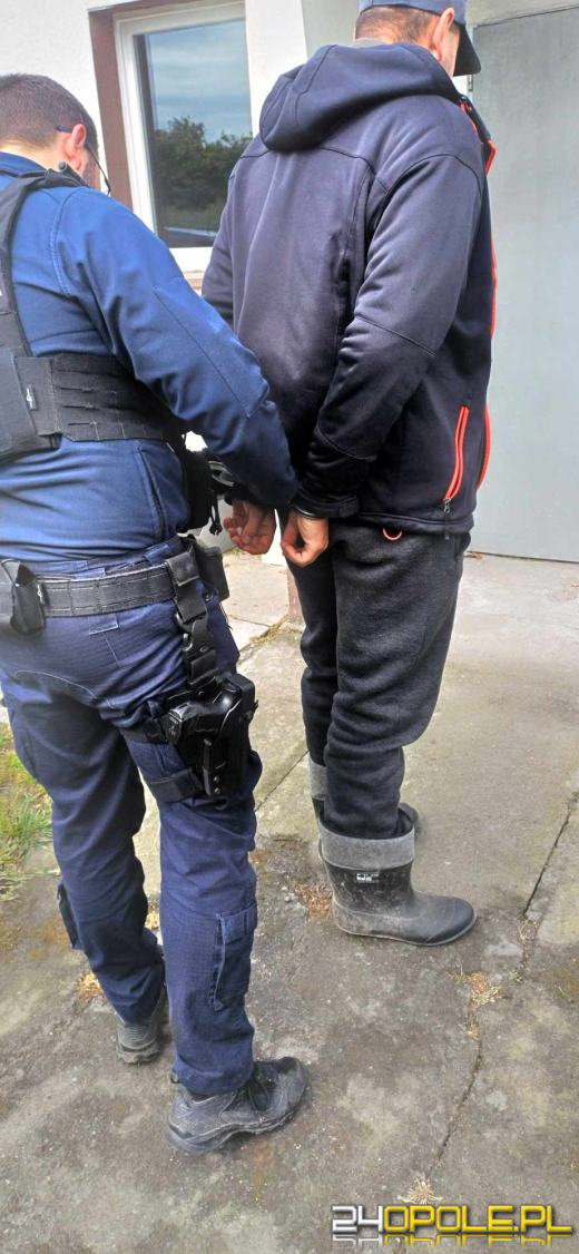 Nysa: 29-latek zatrzymany za kontakt z "12-latką" (WIDEO)